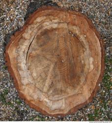 Photo Textures of Wood